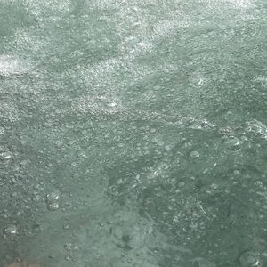 Meet your Posher, Ava